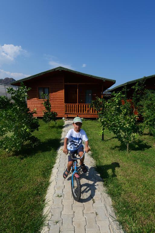 Yildiz Pension Bungalows Çıralı Habitación foto