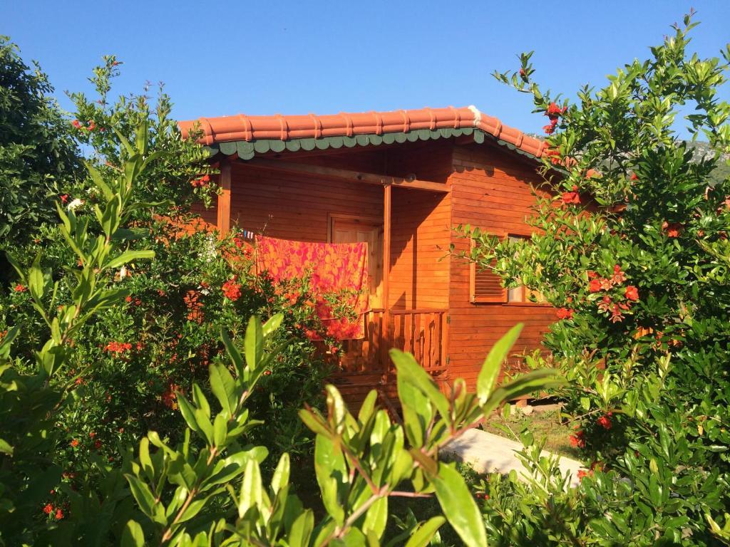 Yildiz Pension Bungalows Çıralı Habitación foto